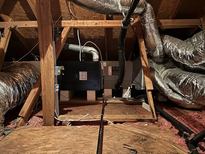 Dragonfly Mechanical Picture 8