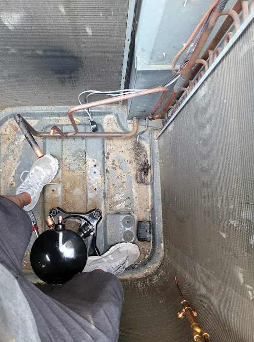 Loyal Home Services Picture 5