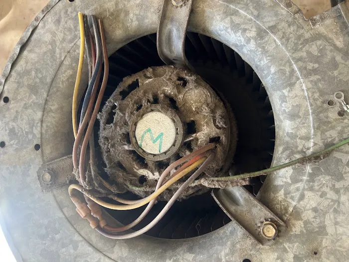 Loyal Home Services Picture 9