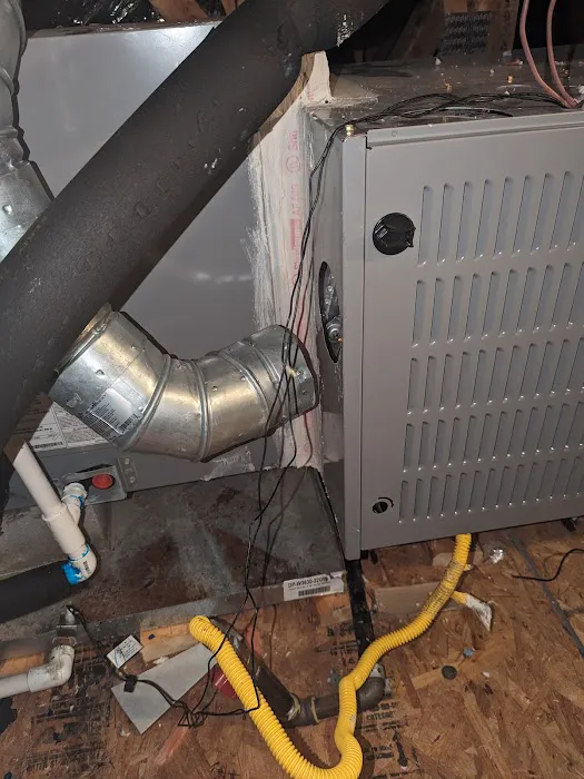 Loyal Home Services Picture 10