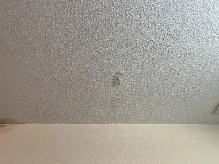 SA Specialties Picture 9