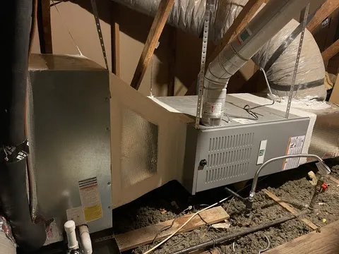 Cool Air SA Picture 4