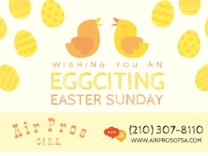 Air Pros of S.A. Picture 5