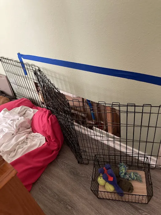 Tietze Plumbing, Heating and Air Picture 10