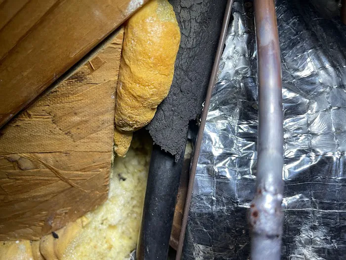 Horner's Service DFW LLC Picture 4