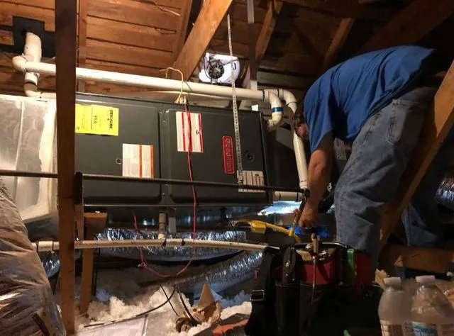 Cool Climate Picture 9