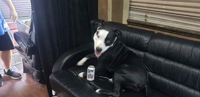 Premier Services Picture 1