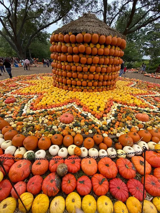 SERVPRO of Texarkana Picture 9