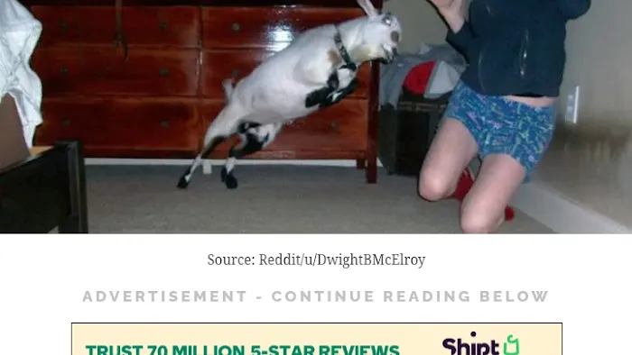 Town & Country A/C service Picture 5