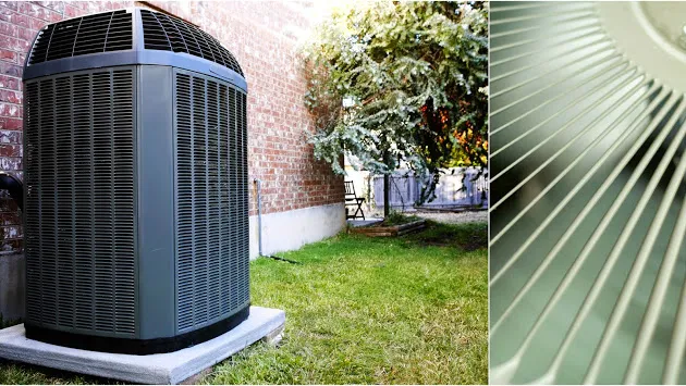 Next Service Picture 9