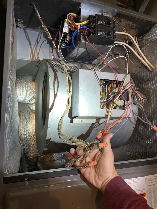 Ellis Air Systems Picture 2