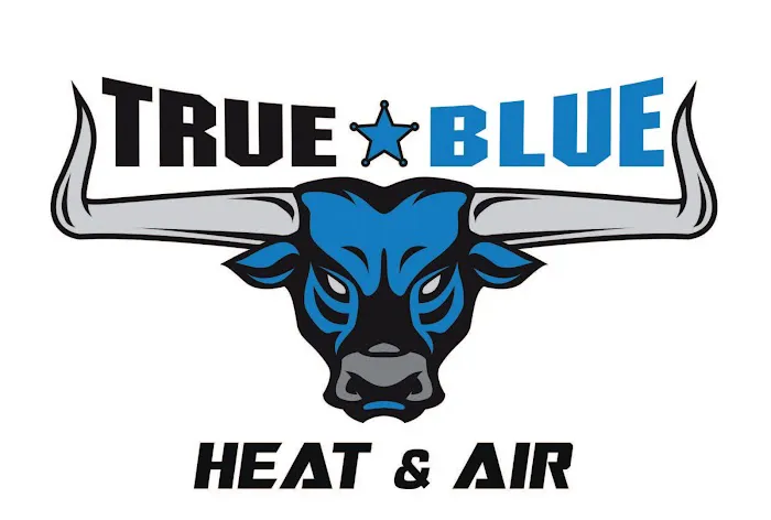True Blue Heat and Air Picture 1