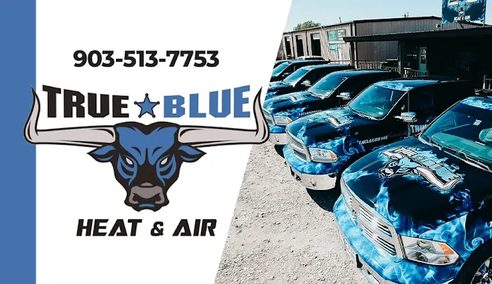 True Blue Heat and Air Picture 2