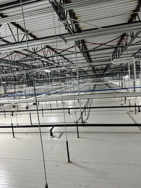 All Safe Electric Picture 2