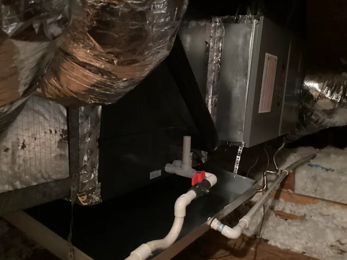 No Sweat Experts Picture 1