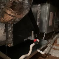 No Sweat Experts ico