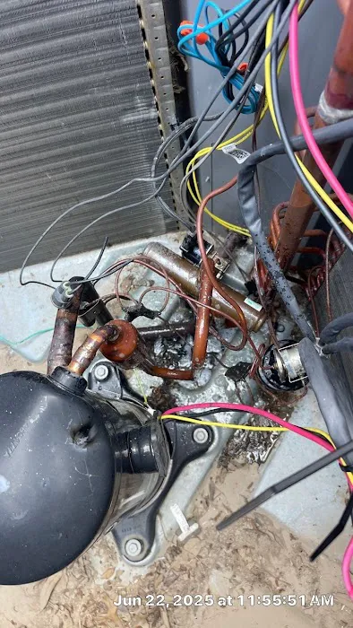 Collins Air 1 Picture 6