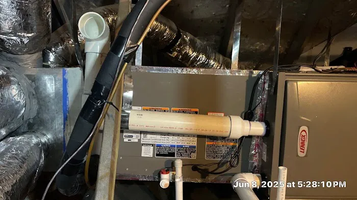 Collins Air 1 Picture 4