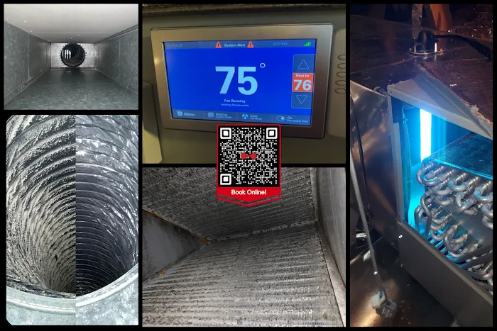 Dandy Home Services Picture 10