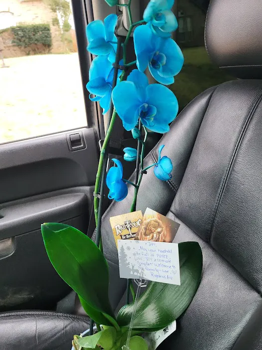 Righteous Air Mechanical, LLC Picture 5