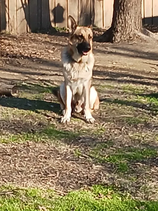 Innovative Heating & Air Picture 1