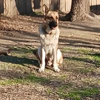 Innovative Heating & Air ico