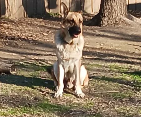 Innovative Heating & Air