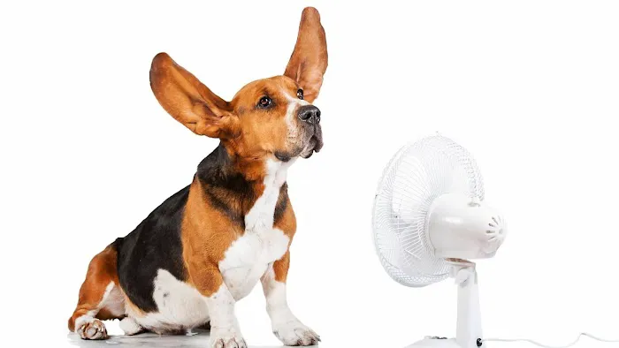 Trust Air Heating and Air Conditioning Picture 1