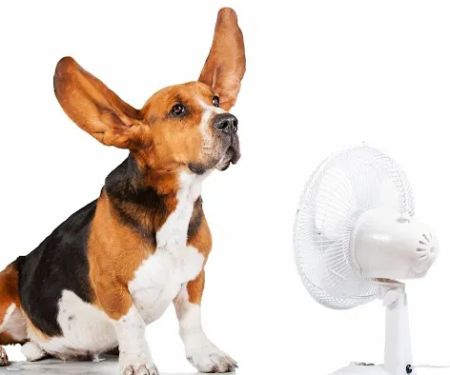 Trust Air Heating and Air Conditioning