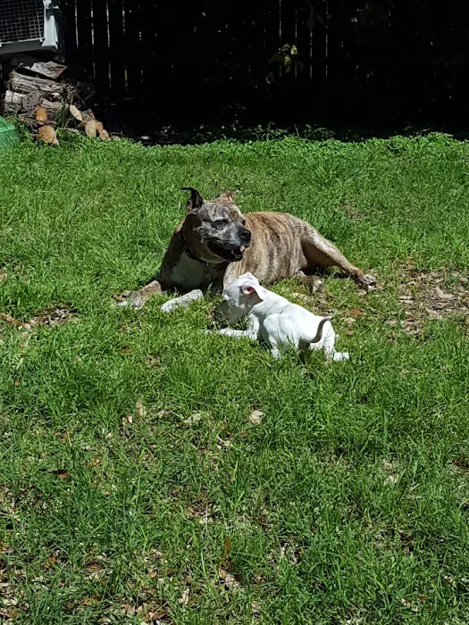 North Lake Heating & Cooling Picture 9