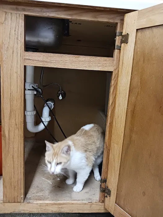 Arizola Plumbing & Home Services Picture 6