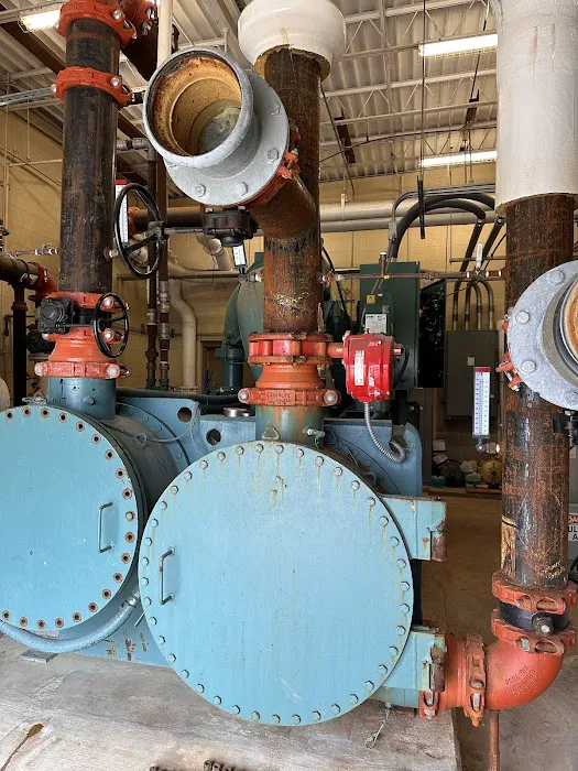 The Cool Crew Picture 2