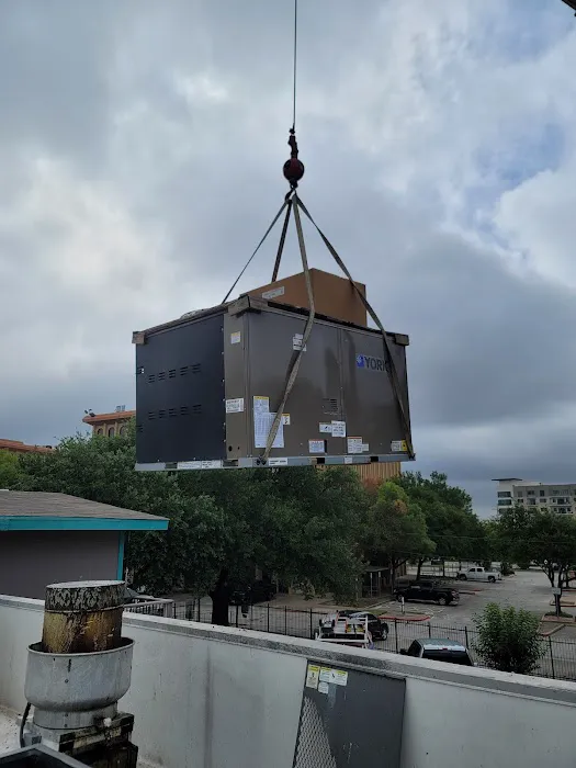 The Cool Crew Picture 7