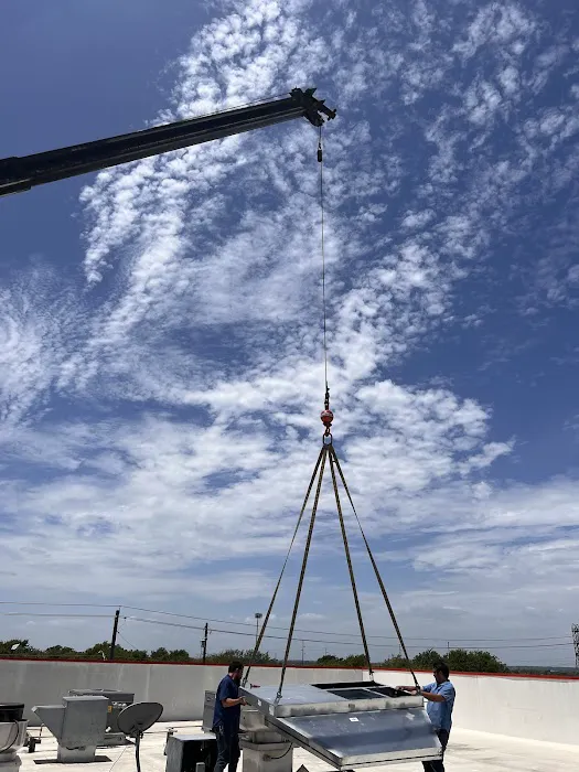 The Cool Crew Picture 5