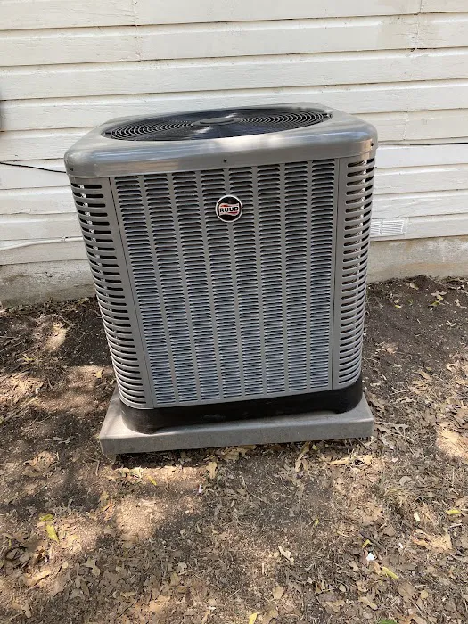 The Cool Crew Picture 3