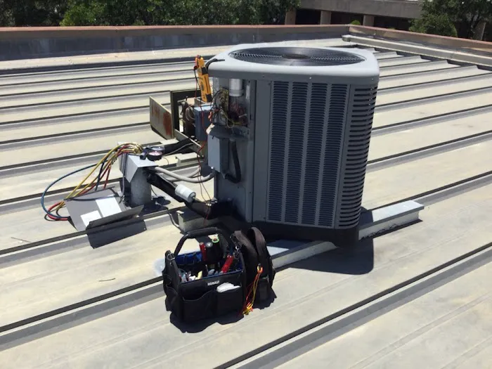 Dalton's Air Picture 5