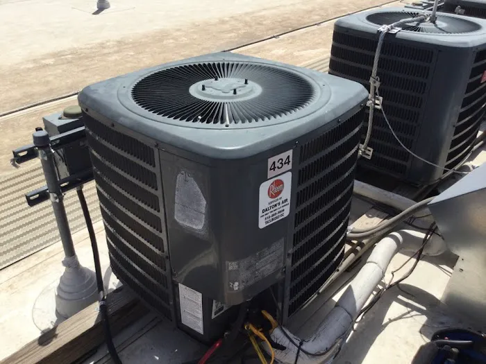 Dalton's Air Picture 6