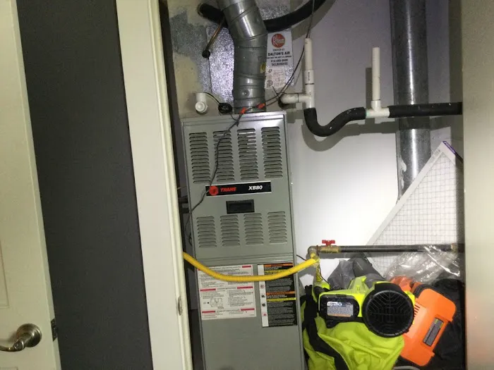 Dalton's Air Picture 4