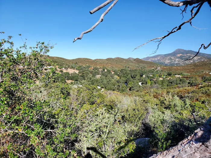 Austin Major Air & Heat Picture 2