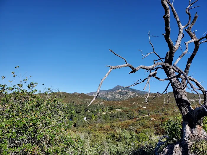 Austin Major Air & Heat Picture 1