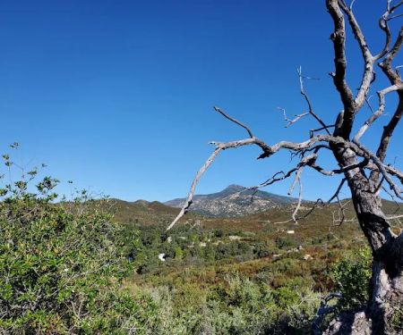 Austin Major Air & Heat