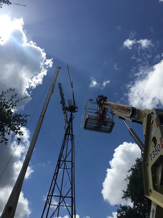 D'Spain Sales and Service Picture 6