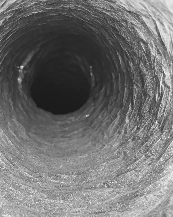 Professional Air Duct Cleaning Picture 6