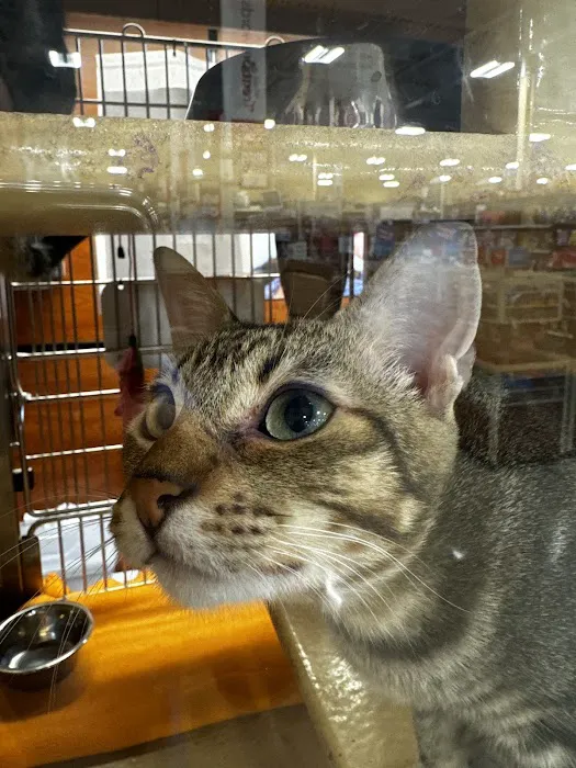 Rockwall Electric Heating and Air Picture 8