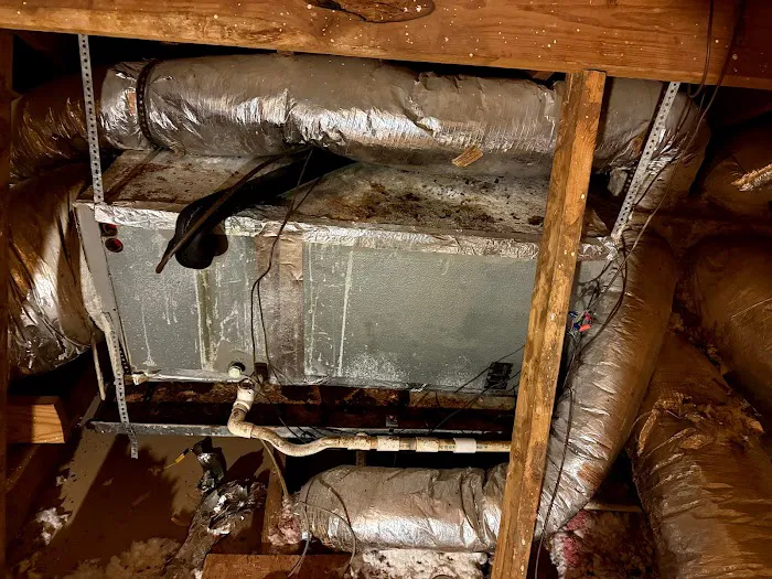 Cozy - D Heating & A/C LLC Picture 5