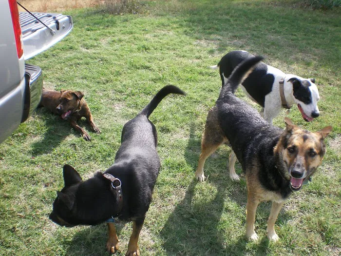 Michael's Comfort Conditioning Picture 10