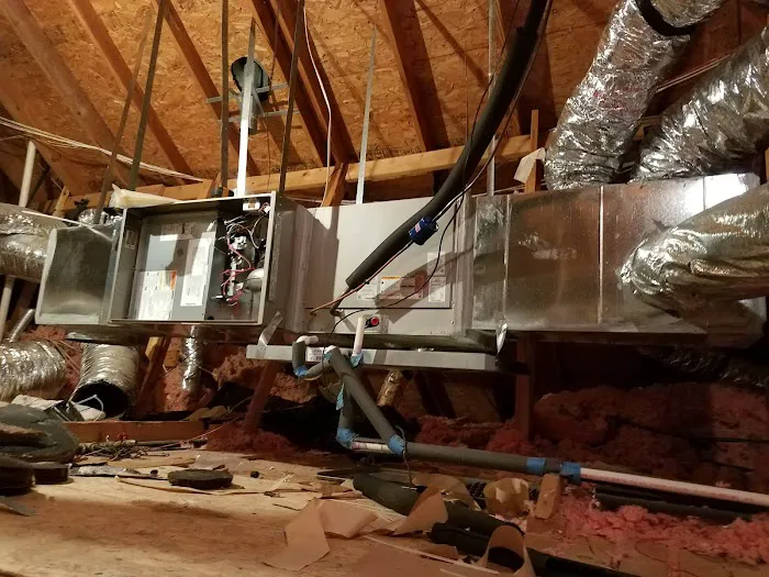 Green Leaf Air Picture 7