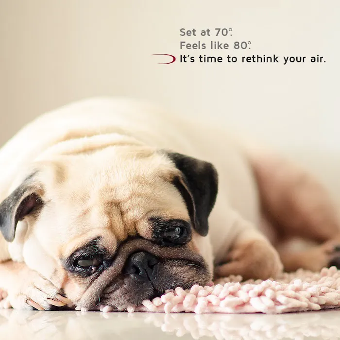 Spire Heating and Air Conditioning Picture 4