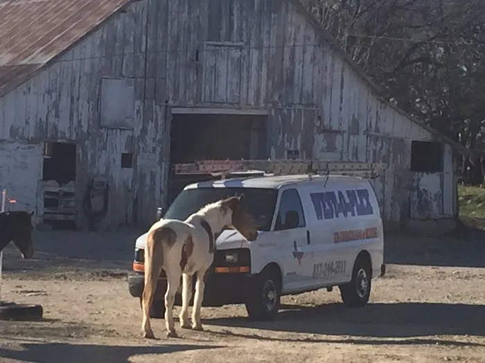 West-O-Plex Picture 2