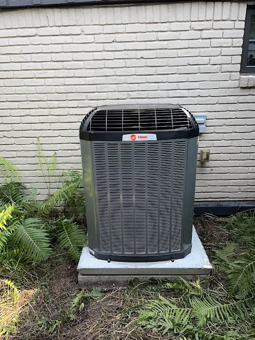 Texas state mechanical Picture 3